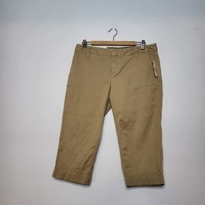 GAP Skinny Capri Pant Size 10